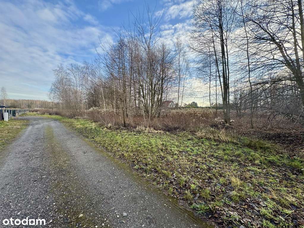 Działka - 2155 m2 - Borowina-3