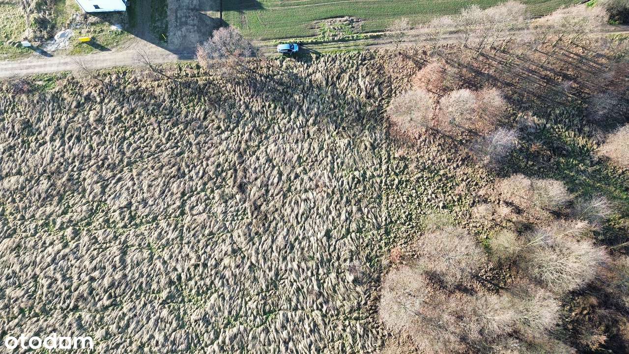 Działka budowlana- Głębinów - Pełny obrazek: 5/11