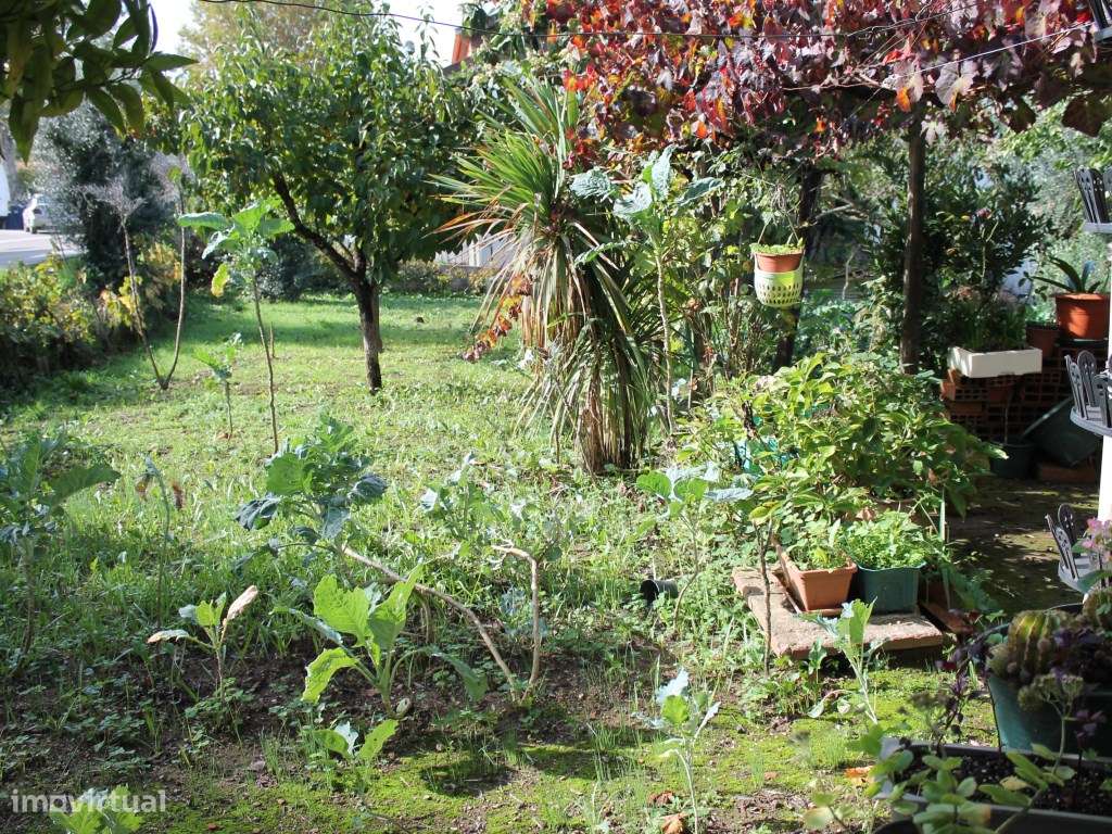 Terreno rústico na zona da Vila de Arganil com uma localização de e... - Grande imagem: 3/12