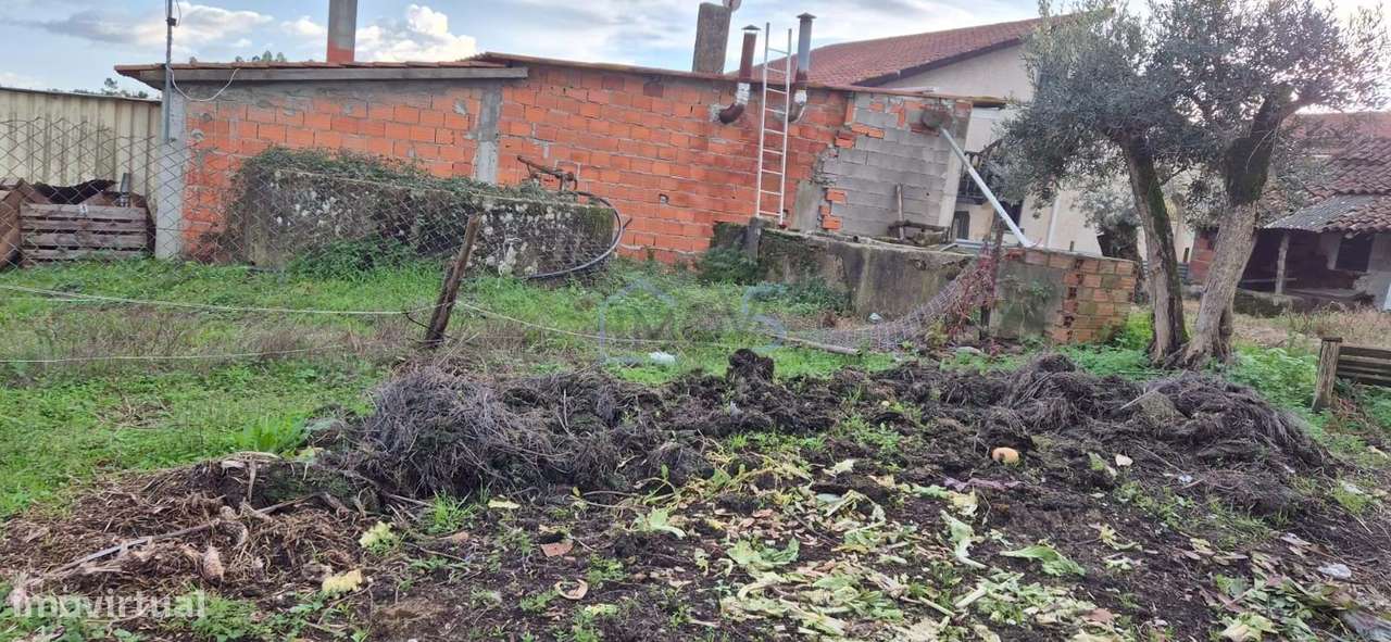 Moradia T2 para Recuperar com Terreno de 4.080 m² | Ferreira do Zêzere-28