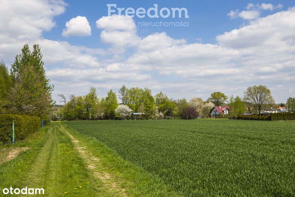 Działka 56 ar zKraczkowa, powiat łańcucki - Pełny obrazek: 4/12