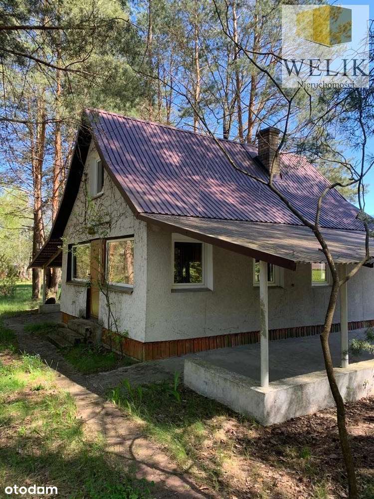 Działka w Serpelicach - Pełny obrazek: 4/8