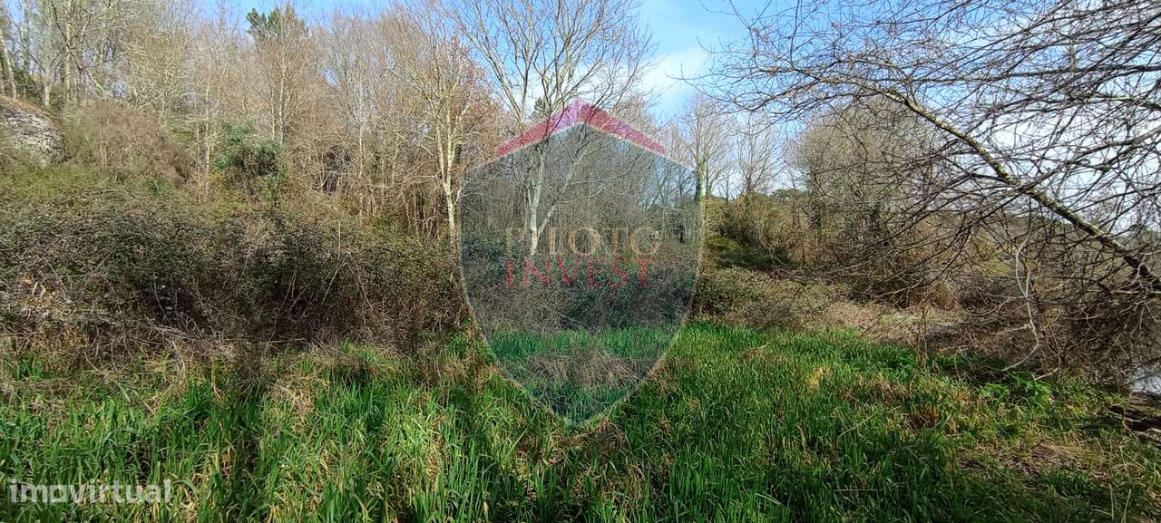 Quinta  Venda em Silgueiros,Viseu-6