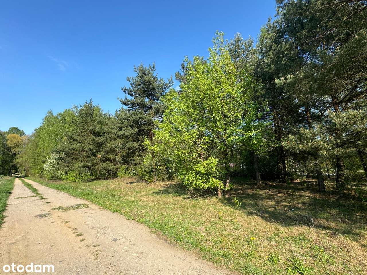 Działki budowlane. Słubica. Żabia Wola-6