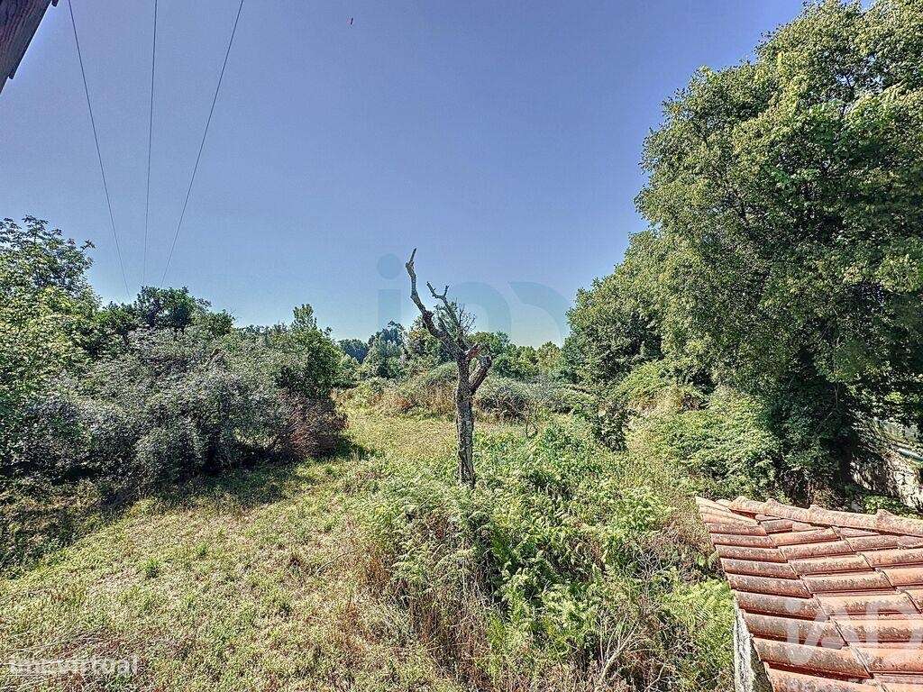 Quinta T6 em Travassós de 362,00 m2 - Grande imagem: 5/30