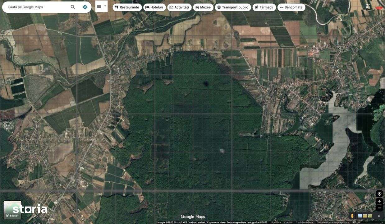 `Teren cu dubla deschidere, langa padure, Snagov - Strada Parcului - Imagine principală: 4/6