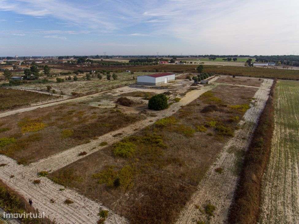 Venda de Quinta com armazém industrial-7