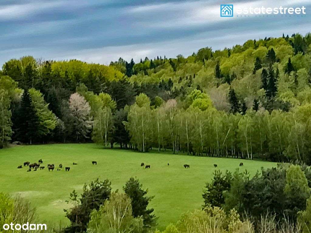 Nowoczesna Posiadłość w Sercu Bieszczad-5