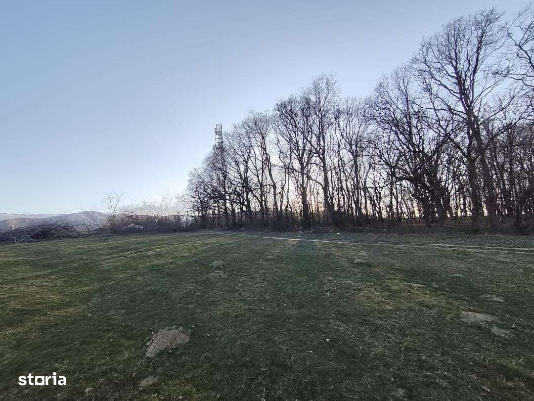 Teren extravilan Rasinari, zona Tropinii Noi - Imagine principală: 3/3