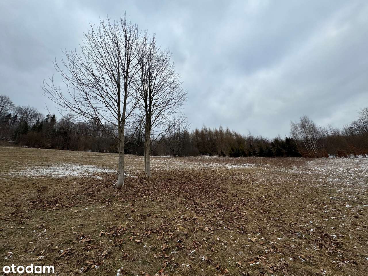 Piękna widokowa działka wysoko w górach idealna na rekreację! - Pełny obrazek: 4/9