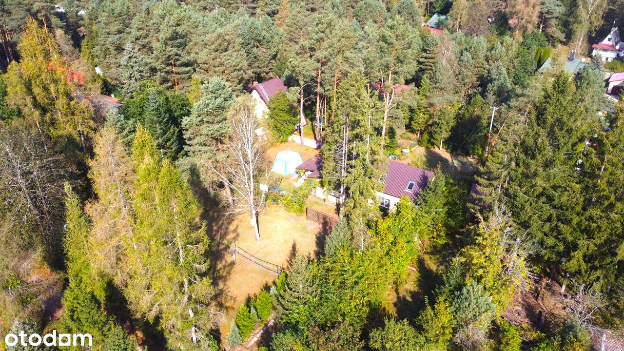 Dom w pięknej, zielonej okolicy, Kuby-Młyny, działka 1500 m2 - Pełny obrazek: 3/20