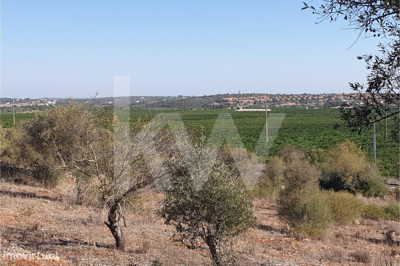 Alcantarilha: Terreno agrícola com viabilidade de construção e vista p