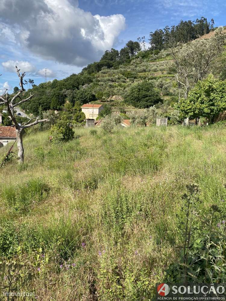 Moradia c/terreno agrícola-12