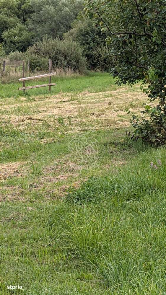 Teren intravilan 7727 mp-Parcelabil-utilitati-Bistrita Bargaului - Imagine principală: 2/3