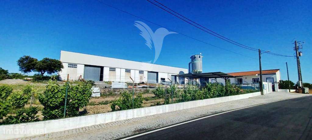 Armazém Industrial e Lote de Terreno Urbano - Grande imagem: 2/25