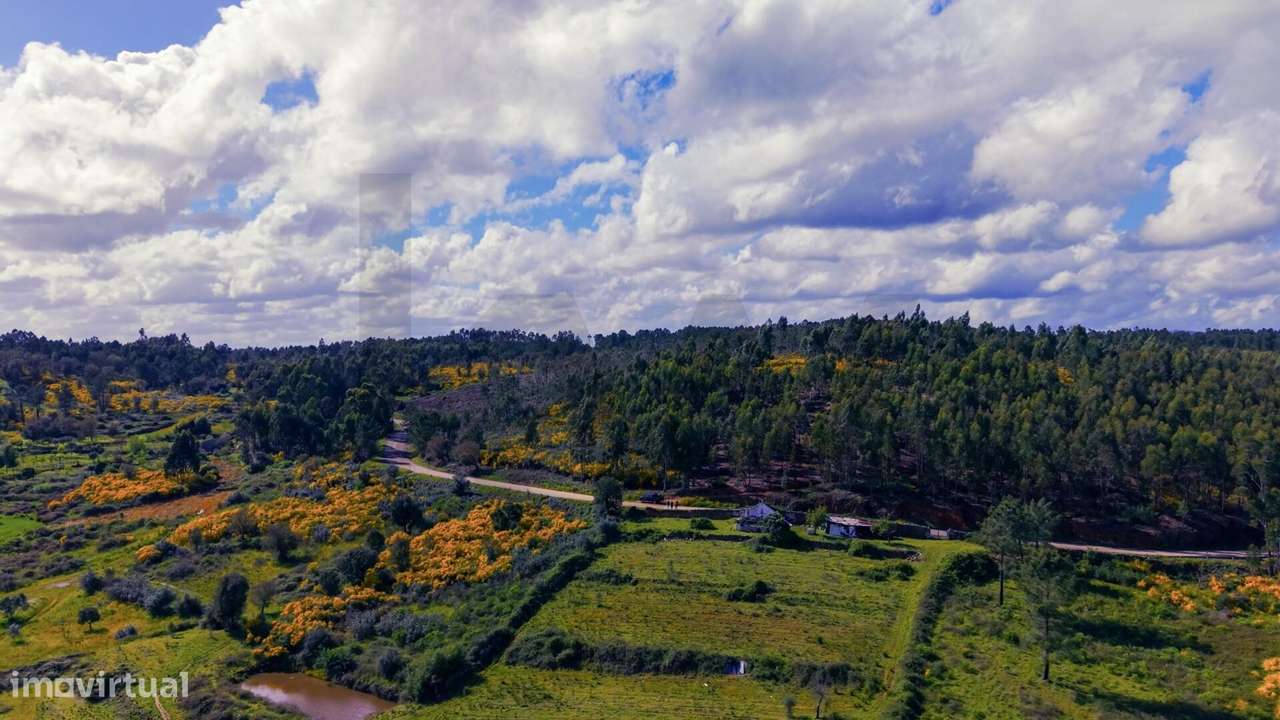 Terreno Rústico com 112.025 m2 em Belver – Potencial Agrícola, Florest - Grande imagem: 5/20