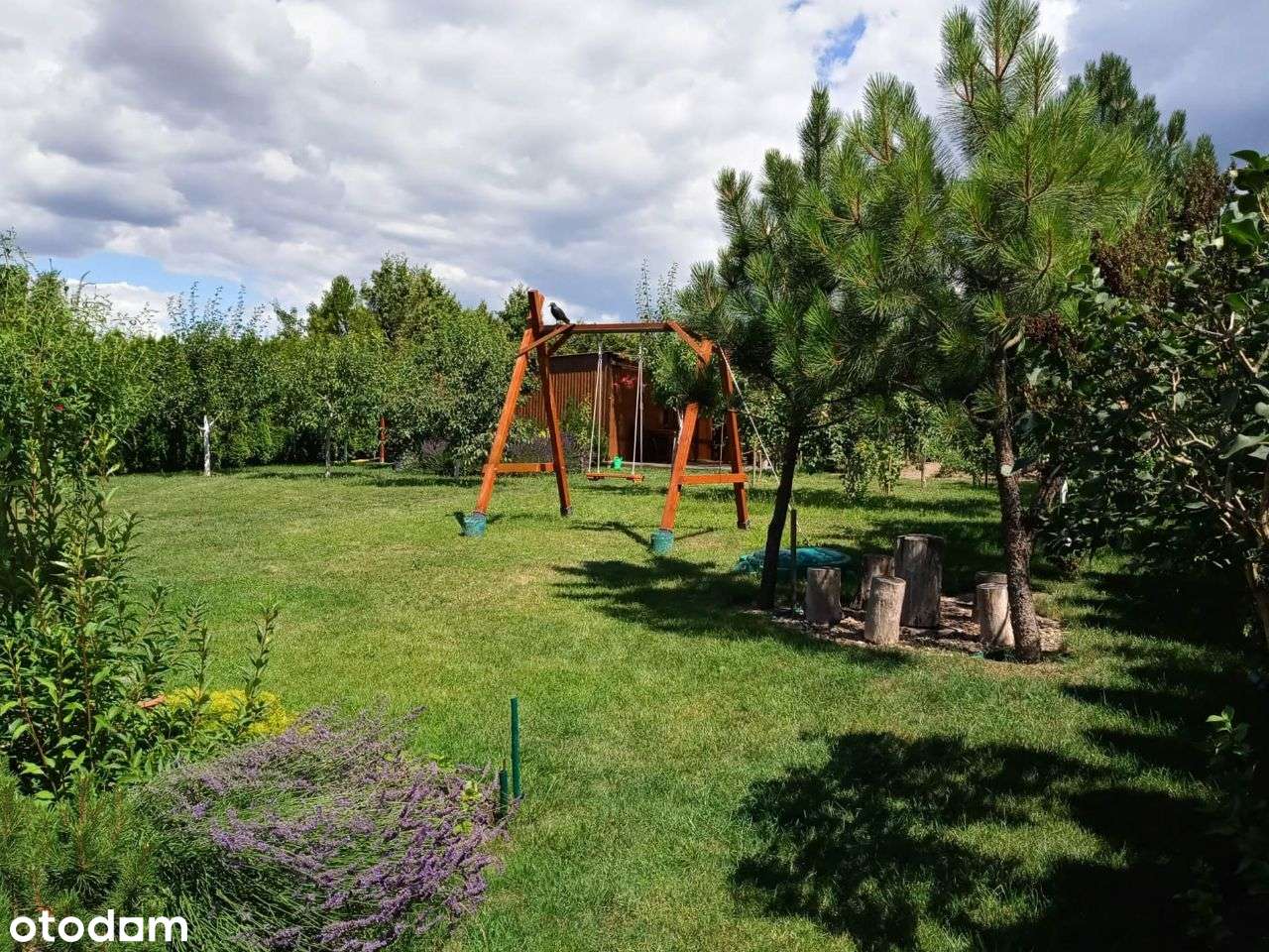 Suchy Las -Zielątkowo - ZMIANA CENY-10