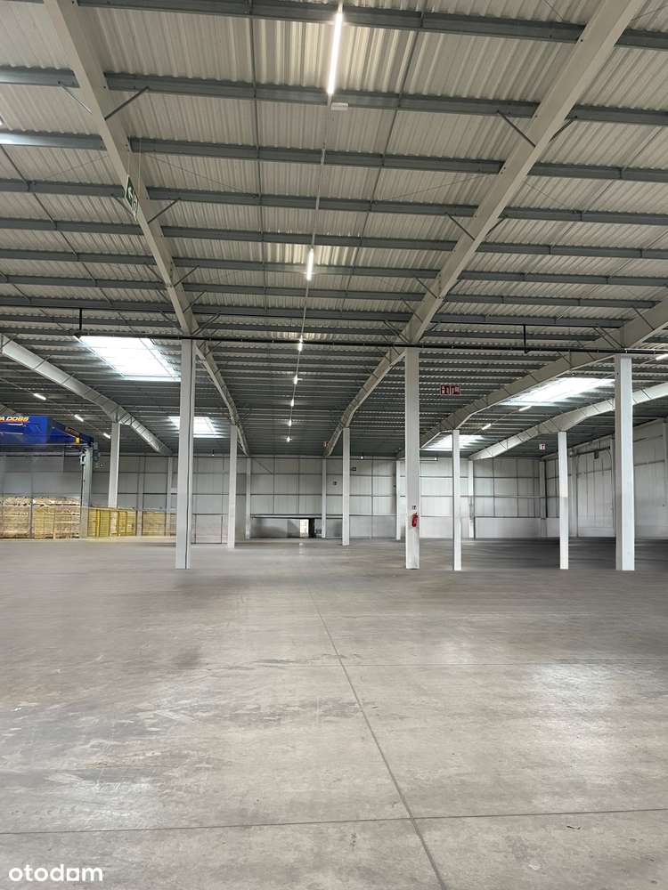 Hala magazynowo produkcyjna Bytom Odrzański - Pełny obrazek: 4/5