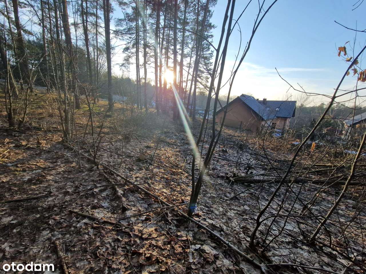 Syndyk sprzeda nieruchomość w miejscowości Klucze - Pełny obrazek: 4/5