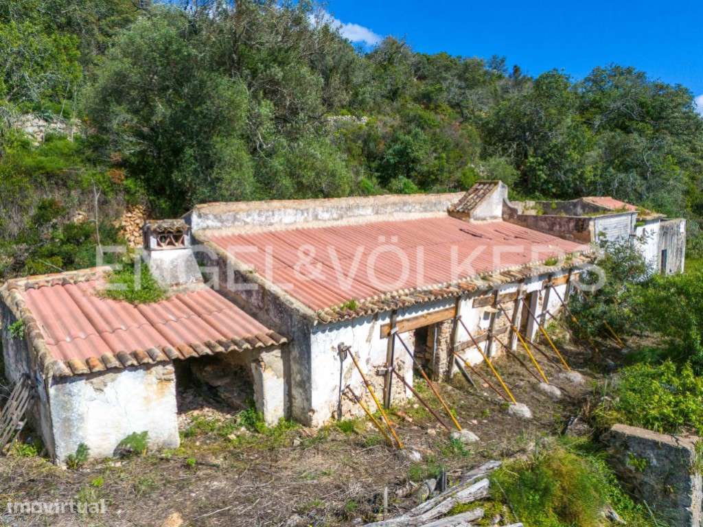 Investimento - Terreno com ruína em Estoi - Grande imagem: 4/13