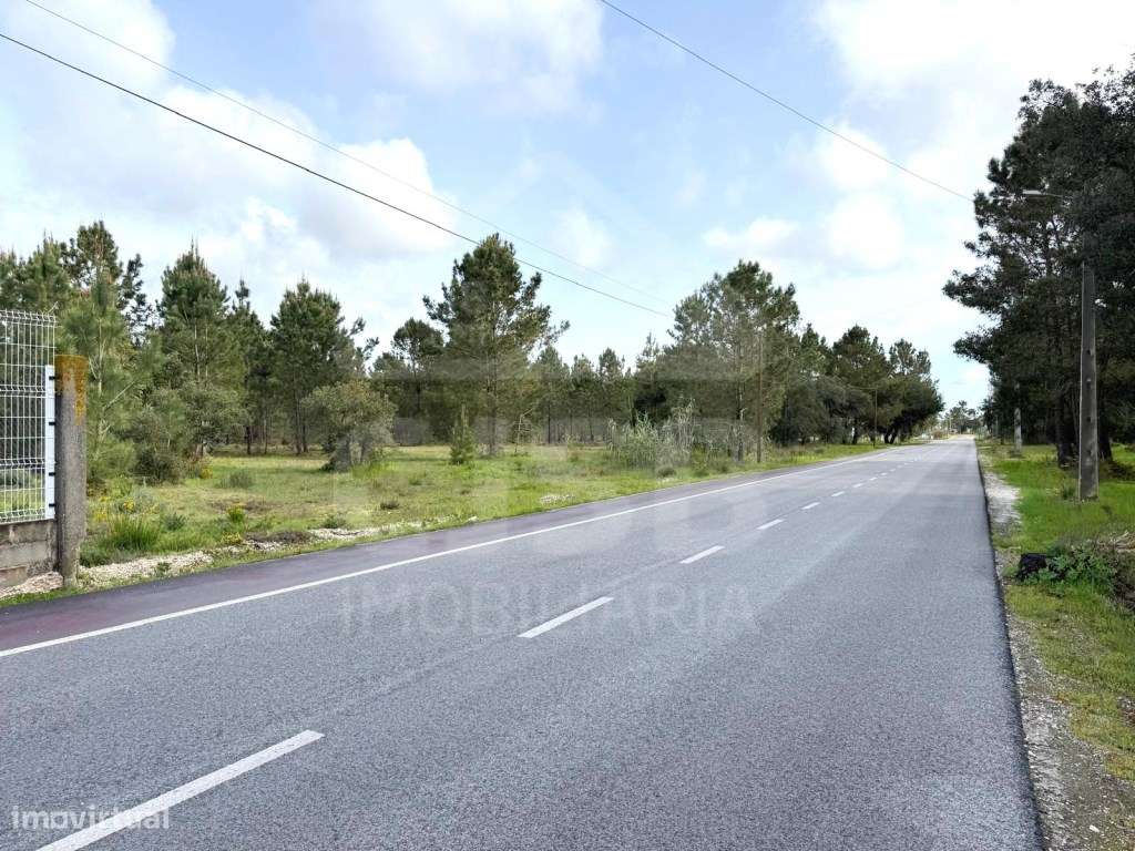 Oportunidade - 5 ha | Zona Industrial Salvaterra de Magos-7