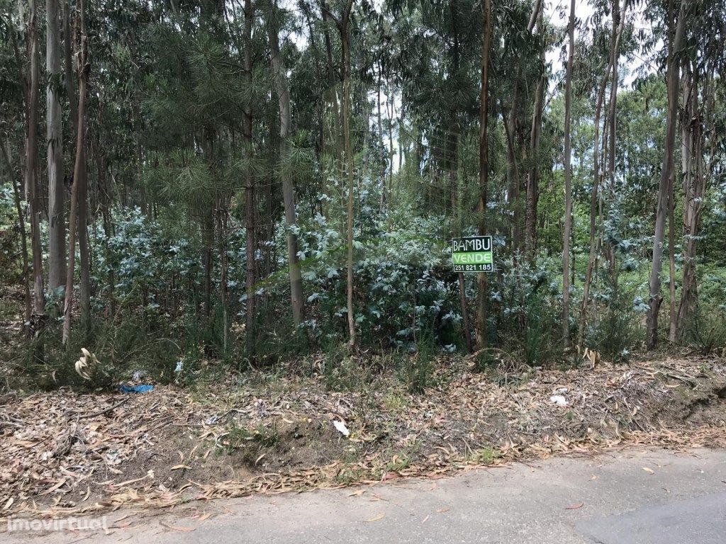 Terreno para Venda em São Pedro da Torre