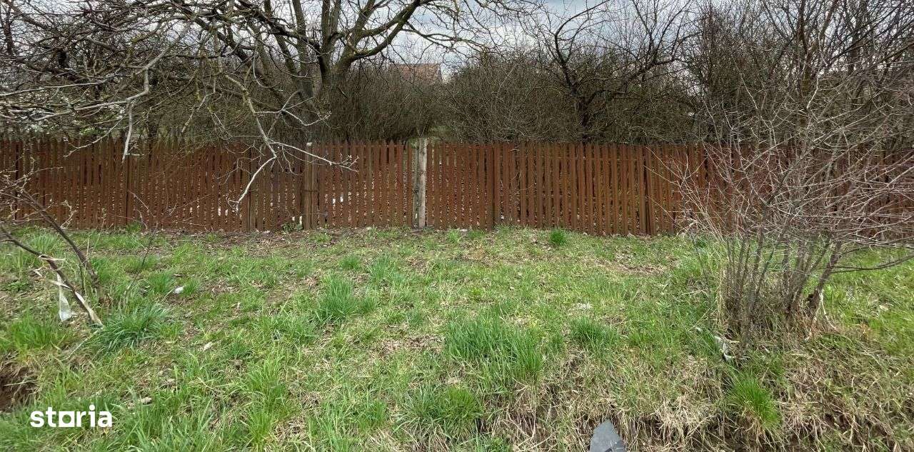 Targoviste-Priseaca-0