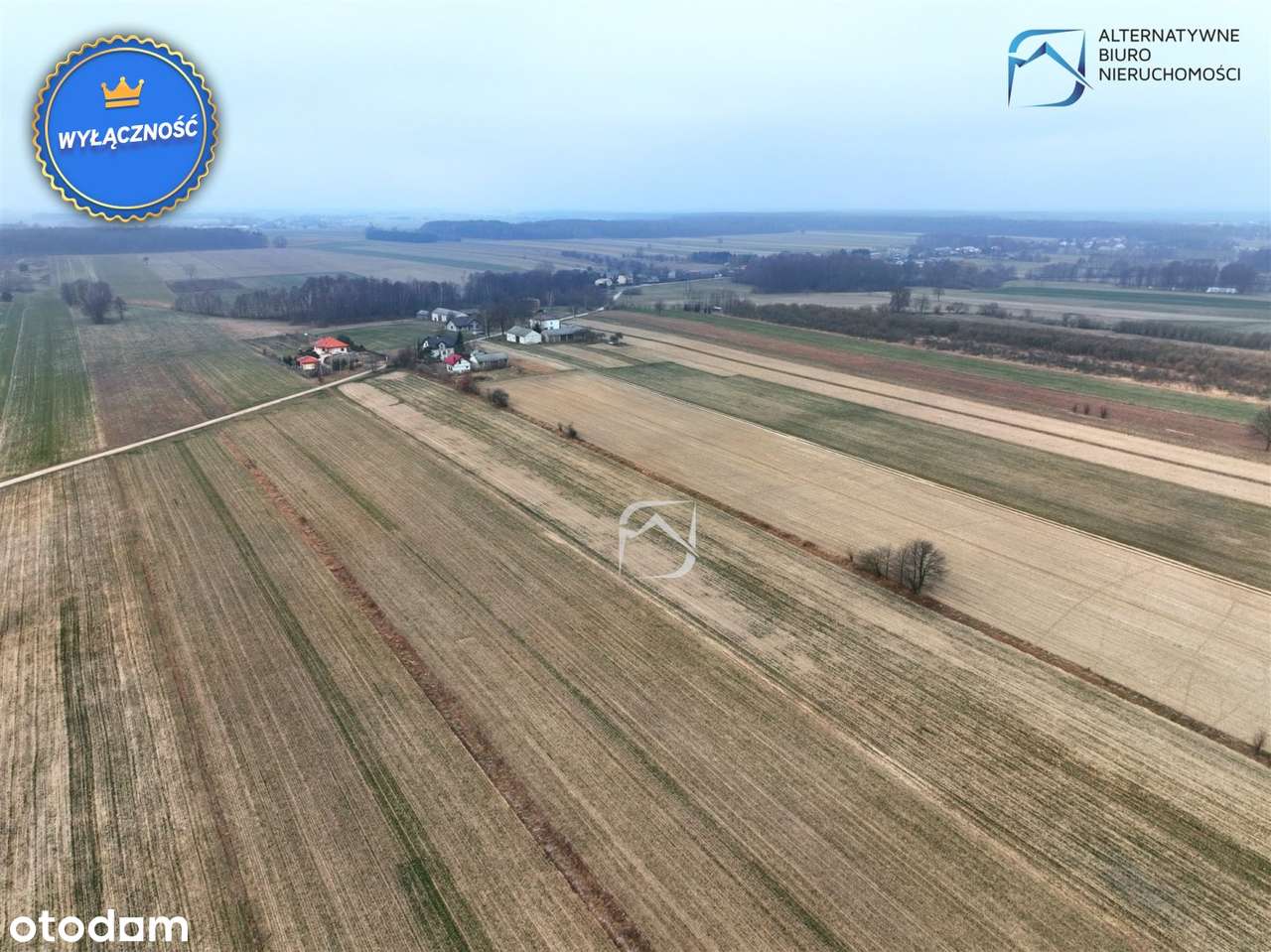 Działka pod zabudowę zagrodową w Zofianie - Pełny obrazek: 5/11