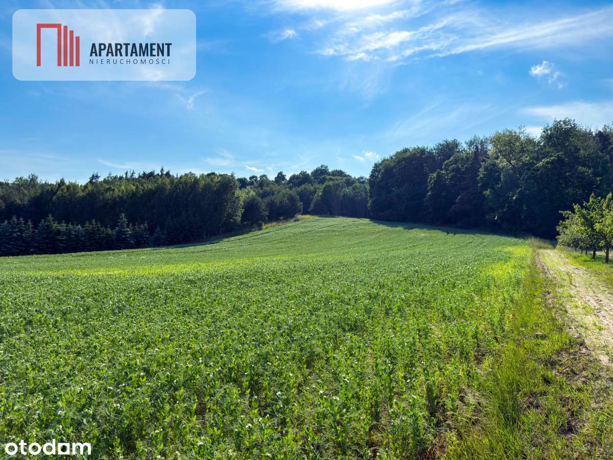 Tylko u nas! Działka-1,13ha-Gruczno-media-WZ - Pełny obrazek: 5/9