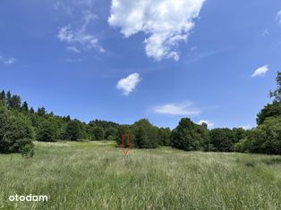 Działka, Kasina Wielka 3400 m2 - Rolna Siedliskowa