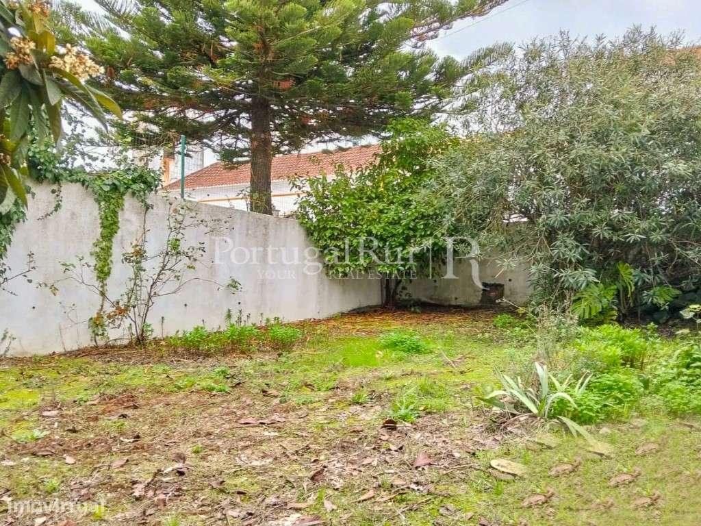 Quinta com 13.000 m² e 3 Moradias no Cartaxo, Póvoa da Isenta-20