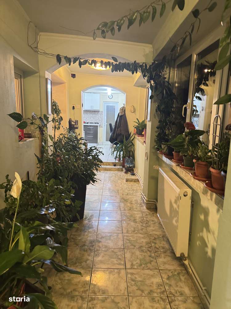 Casa de Vanzare Pecica-13