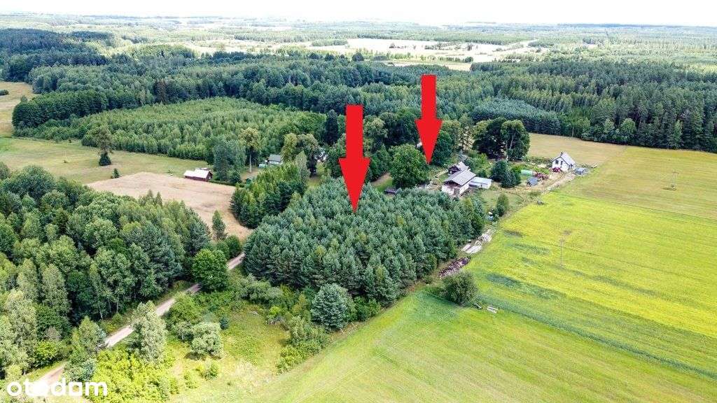 Malowniczo położone siedlisko. - Pełny obrazek: 4/6