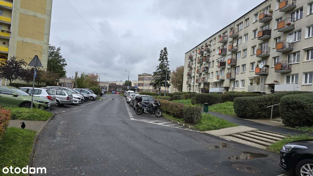 Osiedle Winiary Rogal 4-pokojowe - Pełny obrazek: 3/17