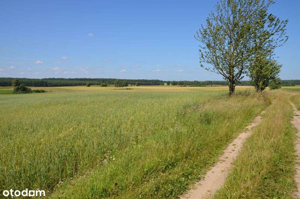 Piękna działka rolno-budowlana - Podole Małe.-4