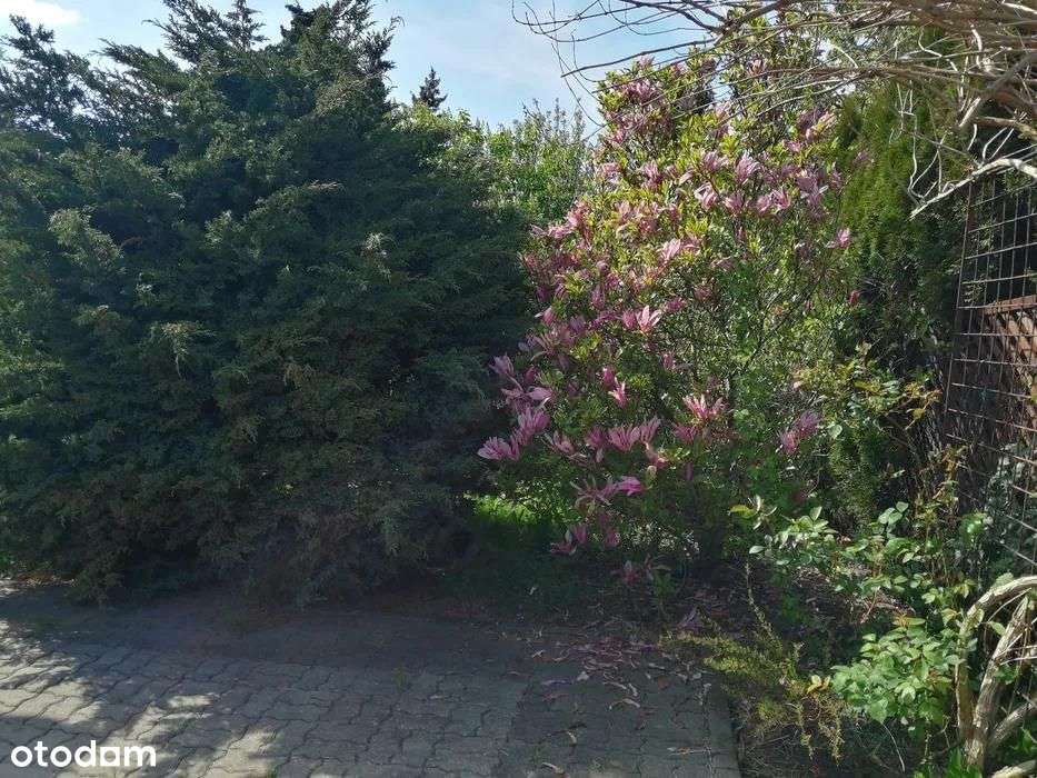 Przestronny Dom, 1/2 Bliźniaka ok.230m2. - Pełny obrazek: 4/6