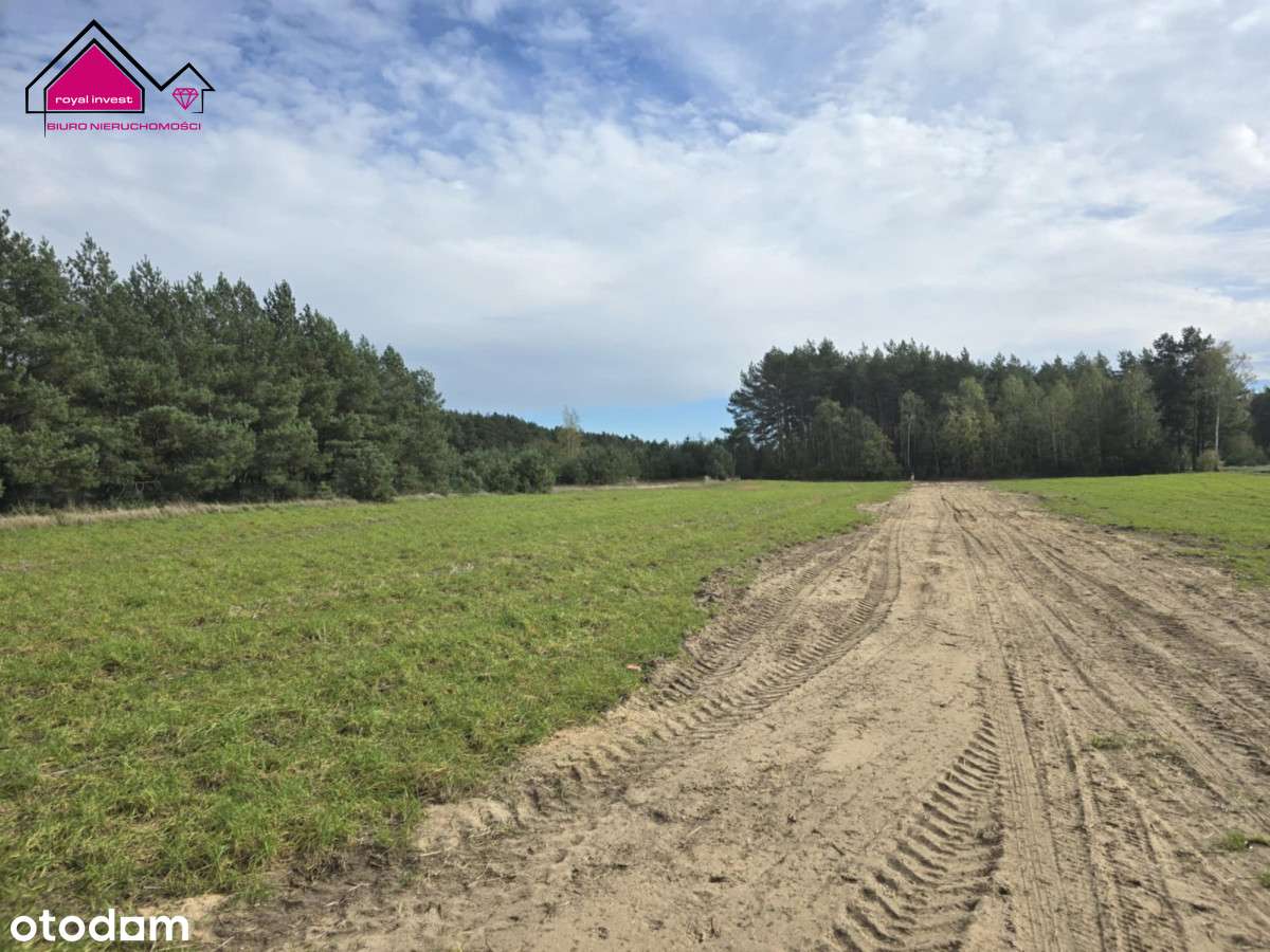 Działka rekreacyjna przy lesie Adamowo gm. Kleczew - Pełny obrazek: 4/8