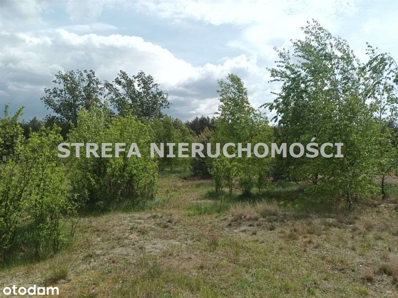 Działka Z Warunkami Zabudowy W Brudzewicach ! - Pełny obrazek: 4/9