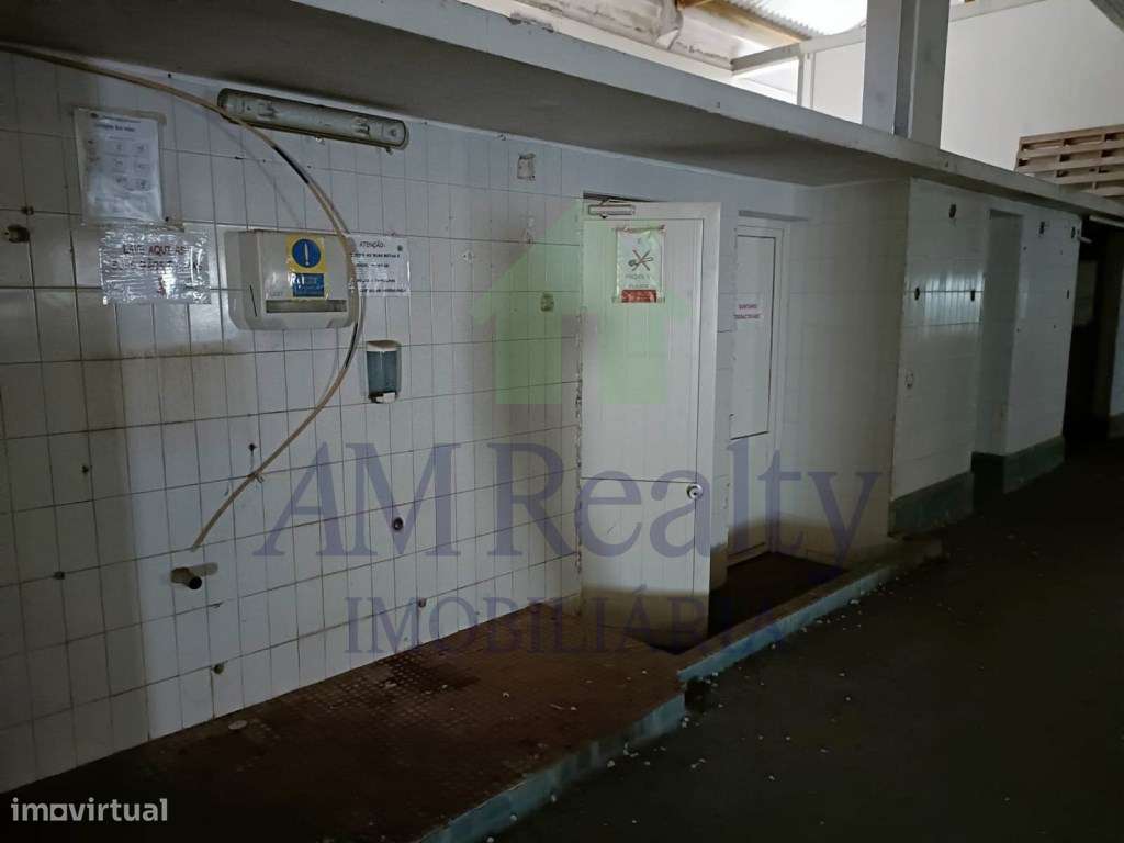 *INVESTIMENTO* - Grande imagem: 4/12