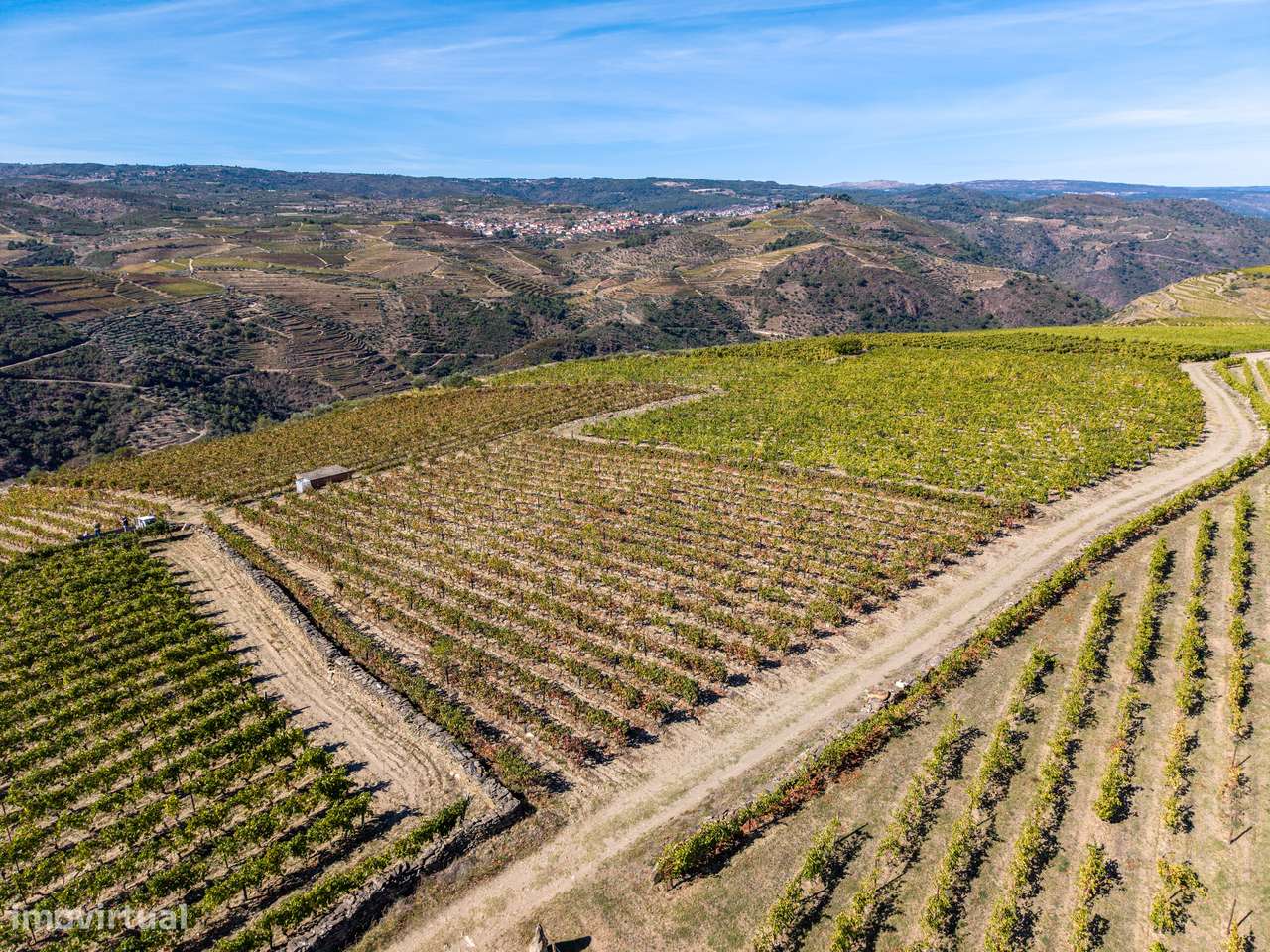 VINHA À VENDA EM MURÇA – REGIÃO DEMARCADA DO DOURO-21