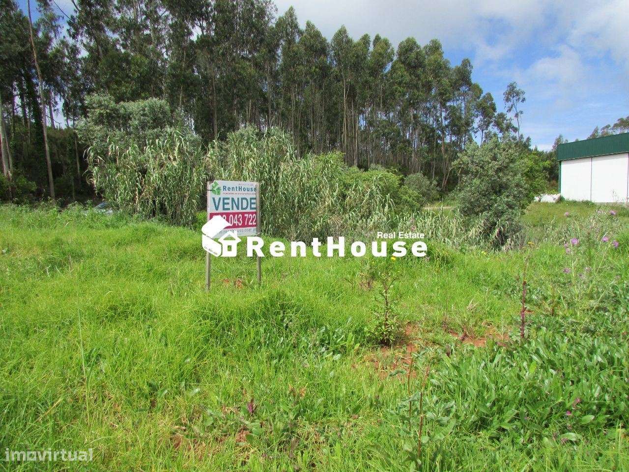 Terreno Industrial Junto à Nacional 109 - Grande imagem: 2/6