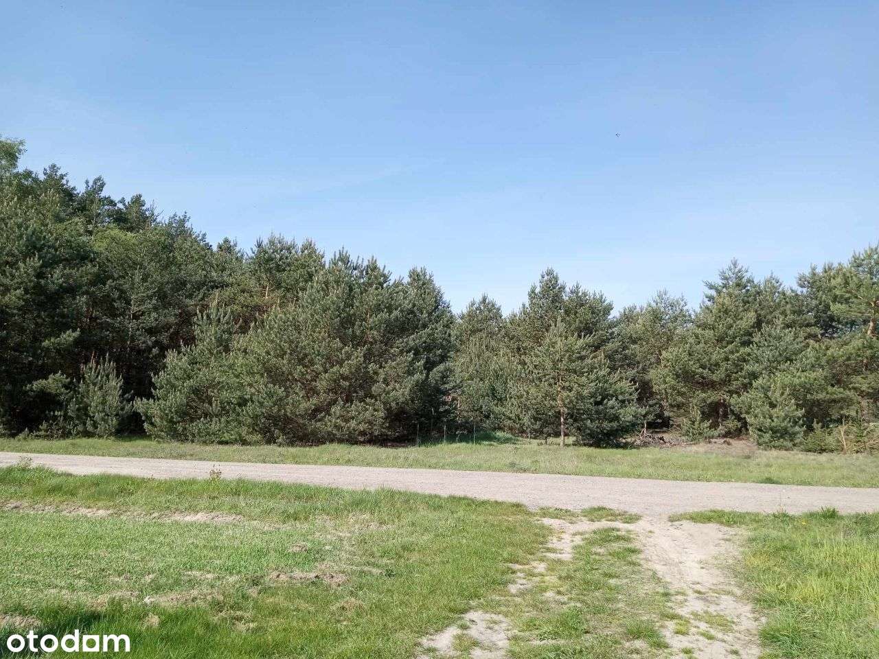 Sprzedam działki budowlane Czarnogłów gm.Dobre-9