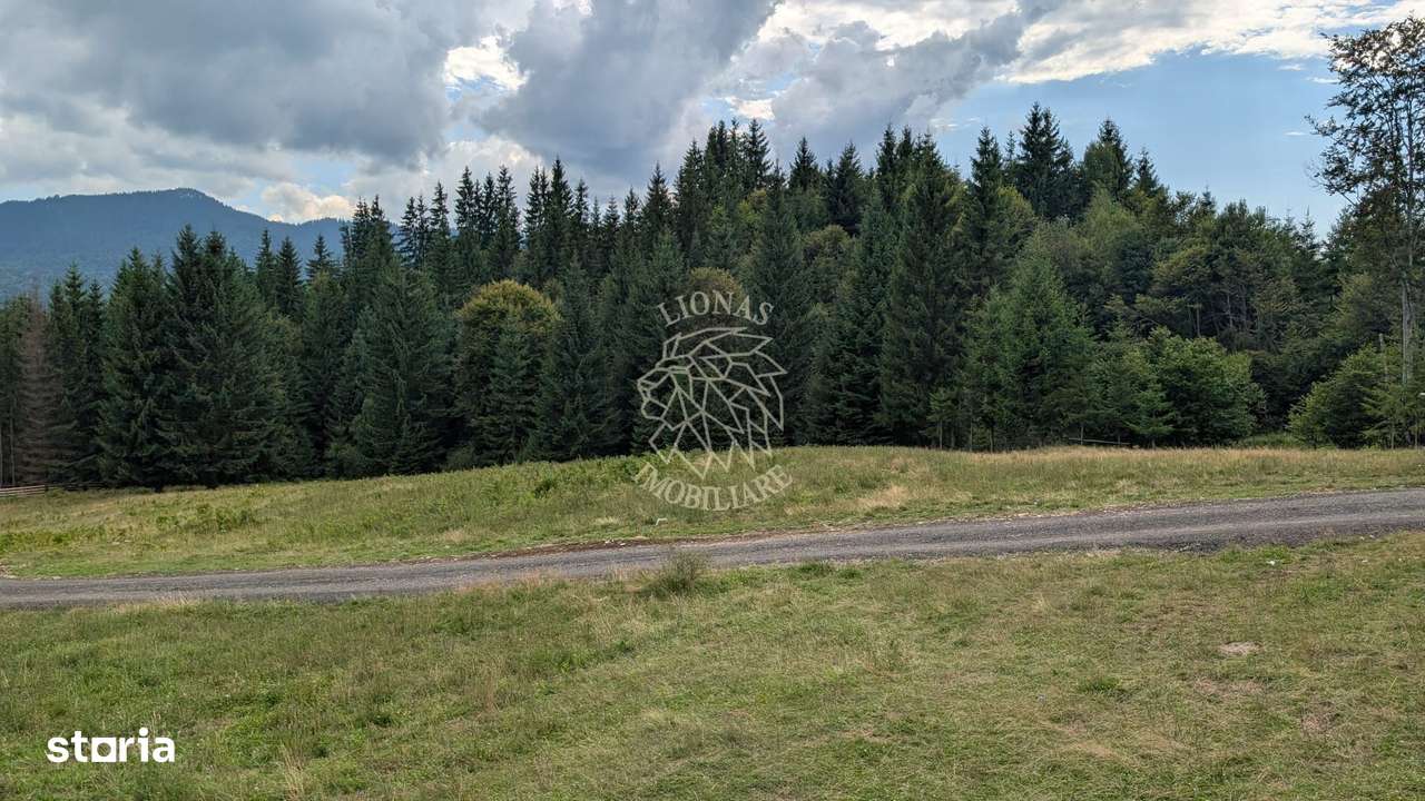 OFERTA! Teren intravilan 800 mp cu utilitati-ideal cabana-Colibita - Imagine principală: 3/3