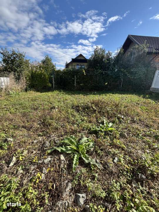 Casa de vanzare Lapusel - Imagine principală: 4/14