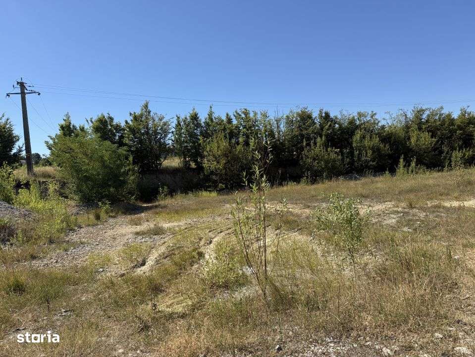 Teren 32.000 mp, oportunitate investitie case/hale Grosi Baia Mare - Imagine principală: 4/4