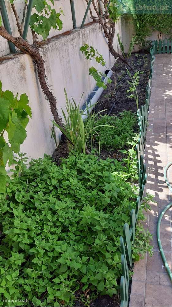 Moradia T3+T3 em  Grândola-23