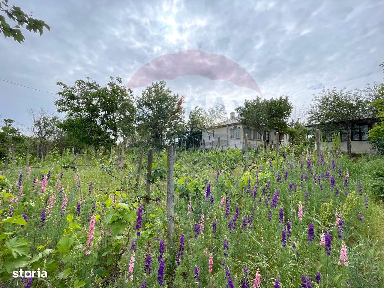 Casă și Teren Generos la Granița cu Republica Moldova! - Imagine principală: 1/20