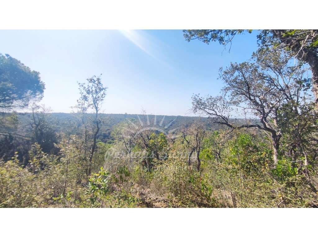 Terreno Rústico - Grande imagem: 4/29