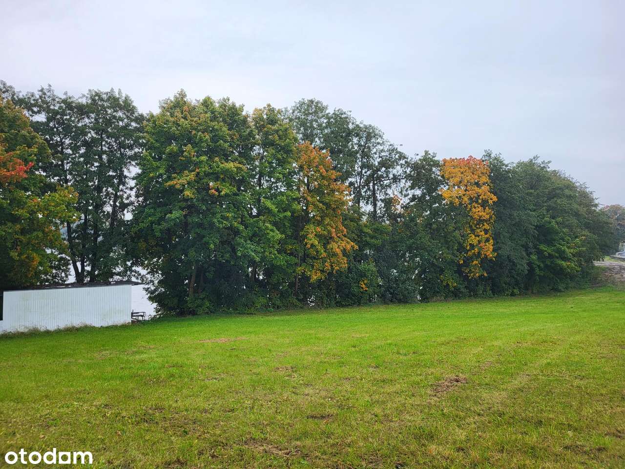 działka z linią brzegowa Gruta - Pełny obrazek: 3/6