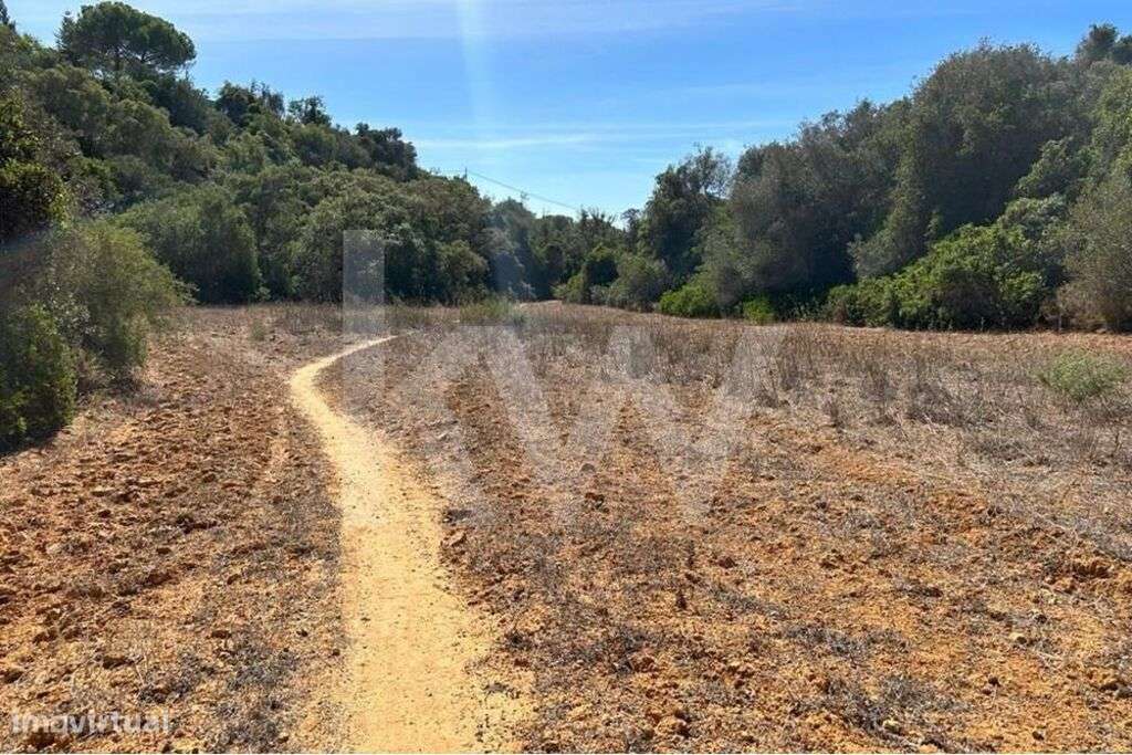 Terreno Rústico em Vale de El Rei, Lagoa -Perto das Praias - Grande imagem: 5/15